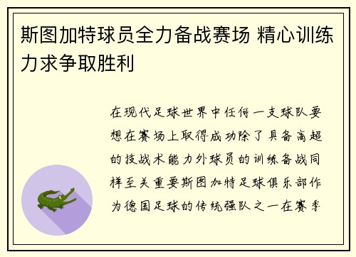斯图加特球员全力备战赛场 精心训练力求争取胜利
