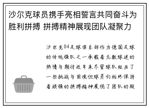 沙尔克球员携手亮相誓言共同奋斗为胜利拼搏 拼搏精神展现团队凝聚力