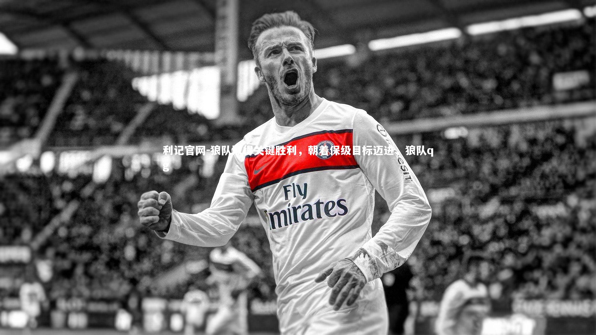 利记官网-狼队取得关键胜利，朝着保级目标迈进，狼队qg