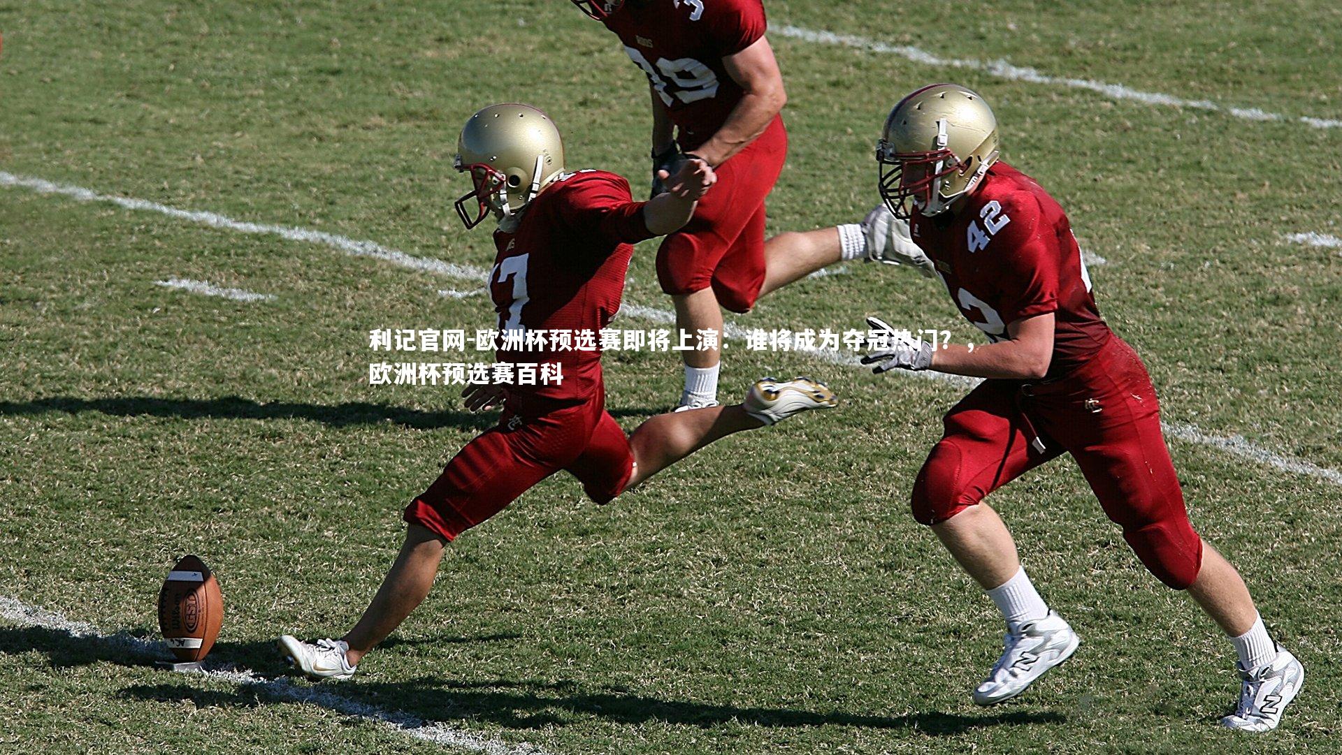 欧洲杯预选赛即将上演：谁将成为夺冠热门？，欧洲杯预选赛百科